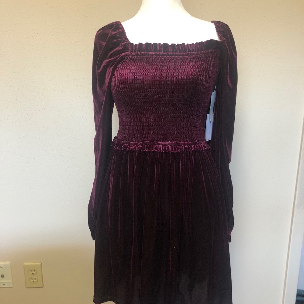 1STATE Burgundy Velour Dress